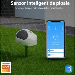 Senzor Inteligent de Ploaie...