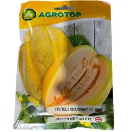 Kehlibar F1, seminte pepene galben, Agrotop
